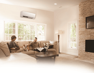 ductless air conditioning in a living room with people sitting with a dog