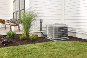 carrier infinity outdoor unit in the garden 3x2